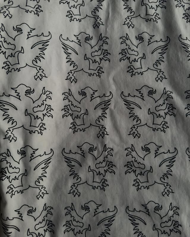 Dior Homme AW02 “reflexion” griffin print long sleeve shirt