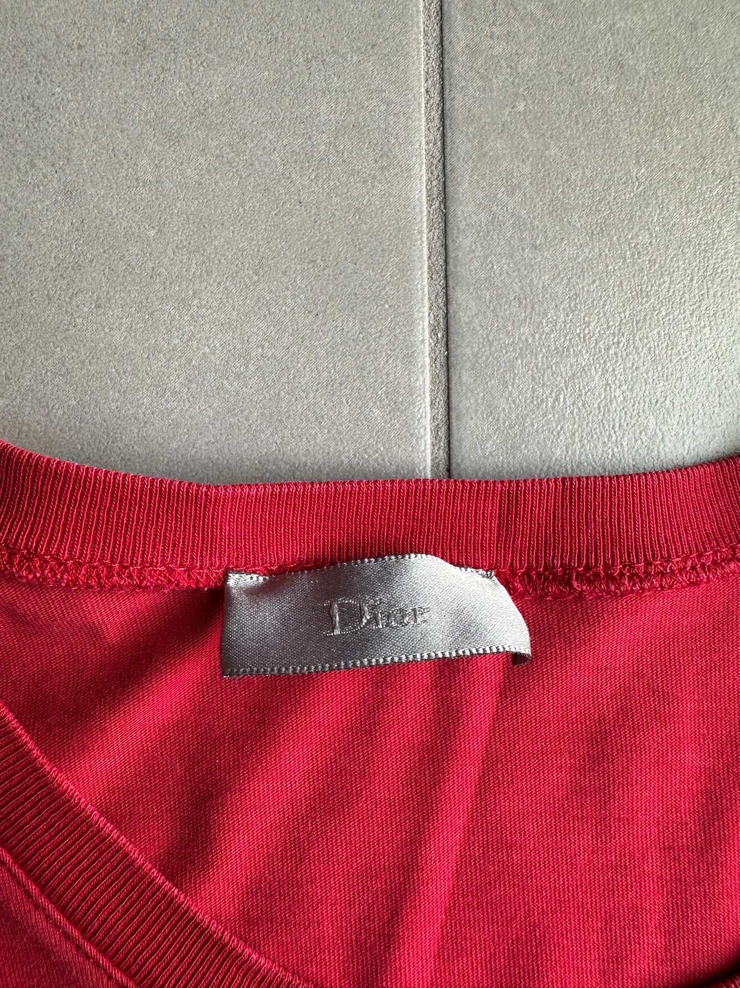 Dior Homme AW06 "These grey days" Forget Me Not T-shirt