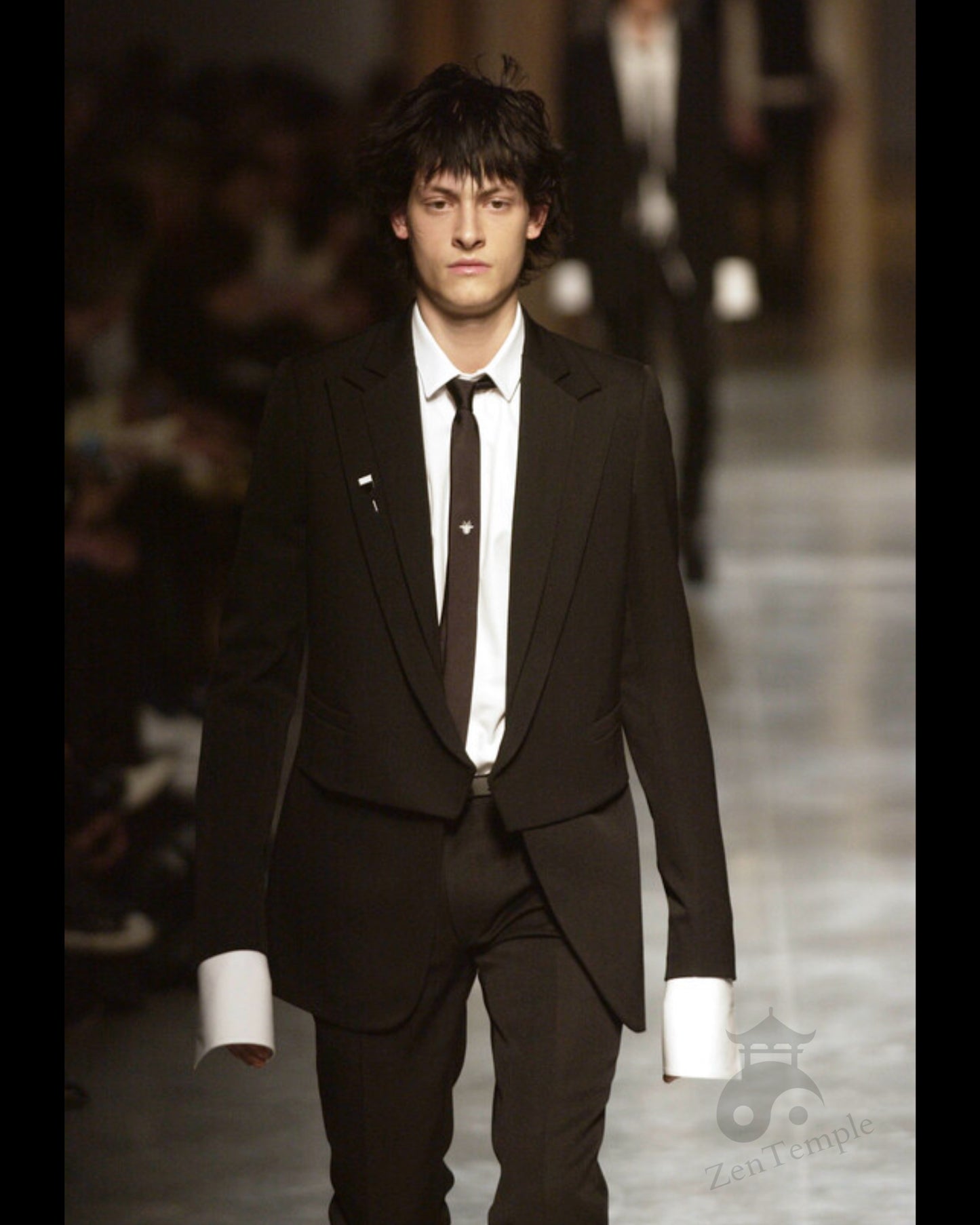 Dior homme AW02 “reflexion” Bee motif tie