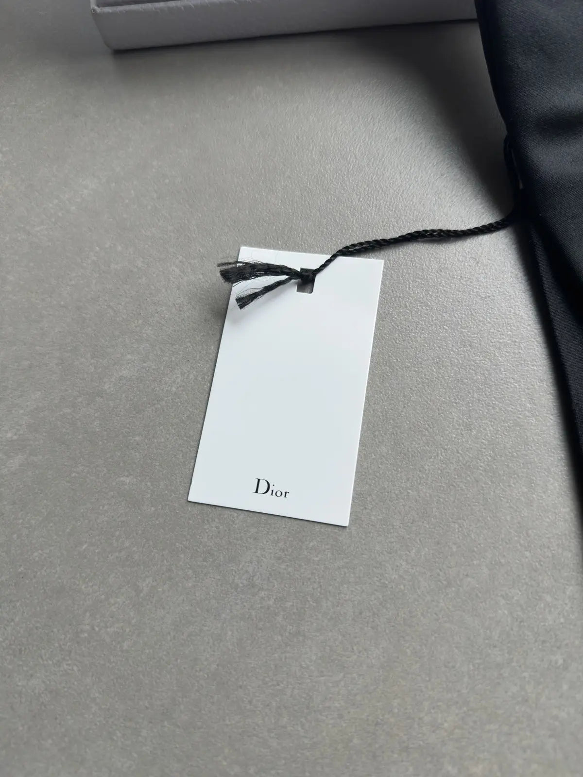 Dior Homme SS04 "Strip" 4 Bee skinny silk tie by