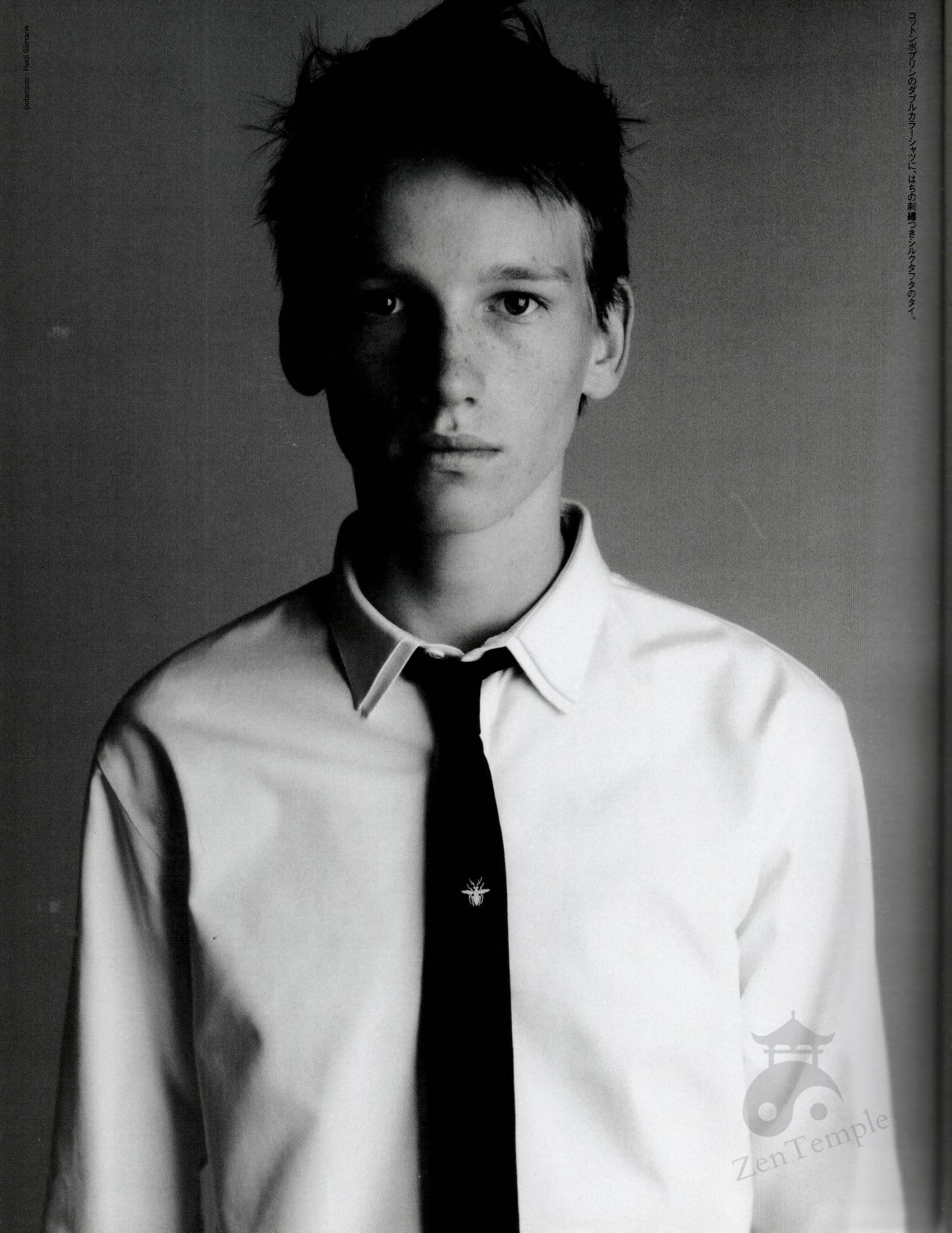 Dior homme AW02 “reflexion” Bee motif tie