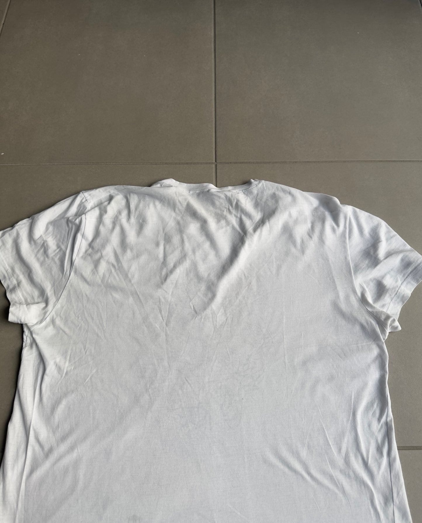 Dior Homme SS07 “We Look Good Together” rose T-shirt