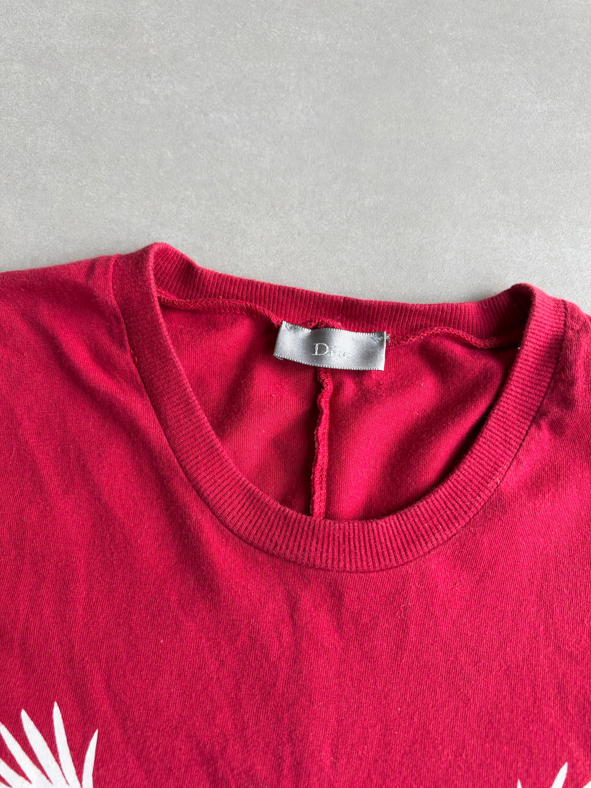 Dior Homme AW05 “In the morning” double eagle motif T-shirt