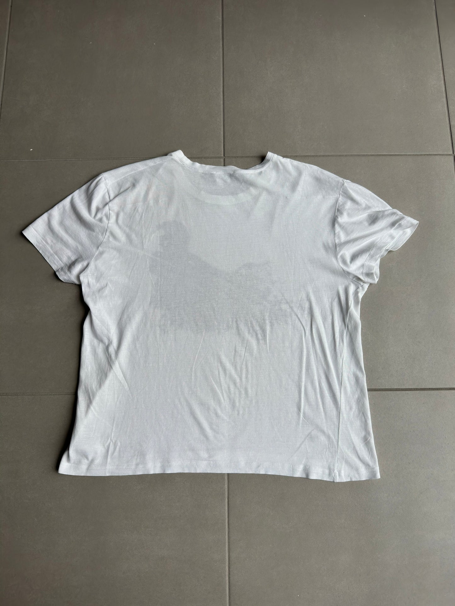 Dior Homme SS07 boy in the forest T-shirt