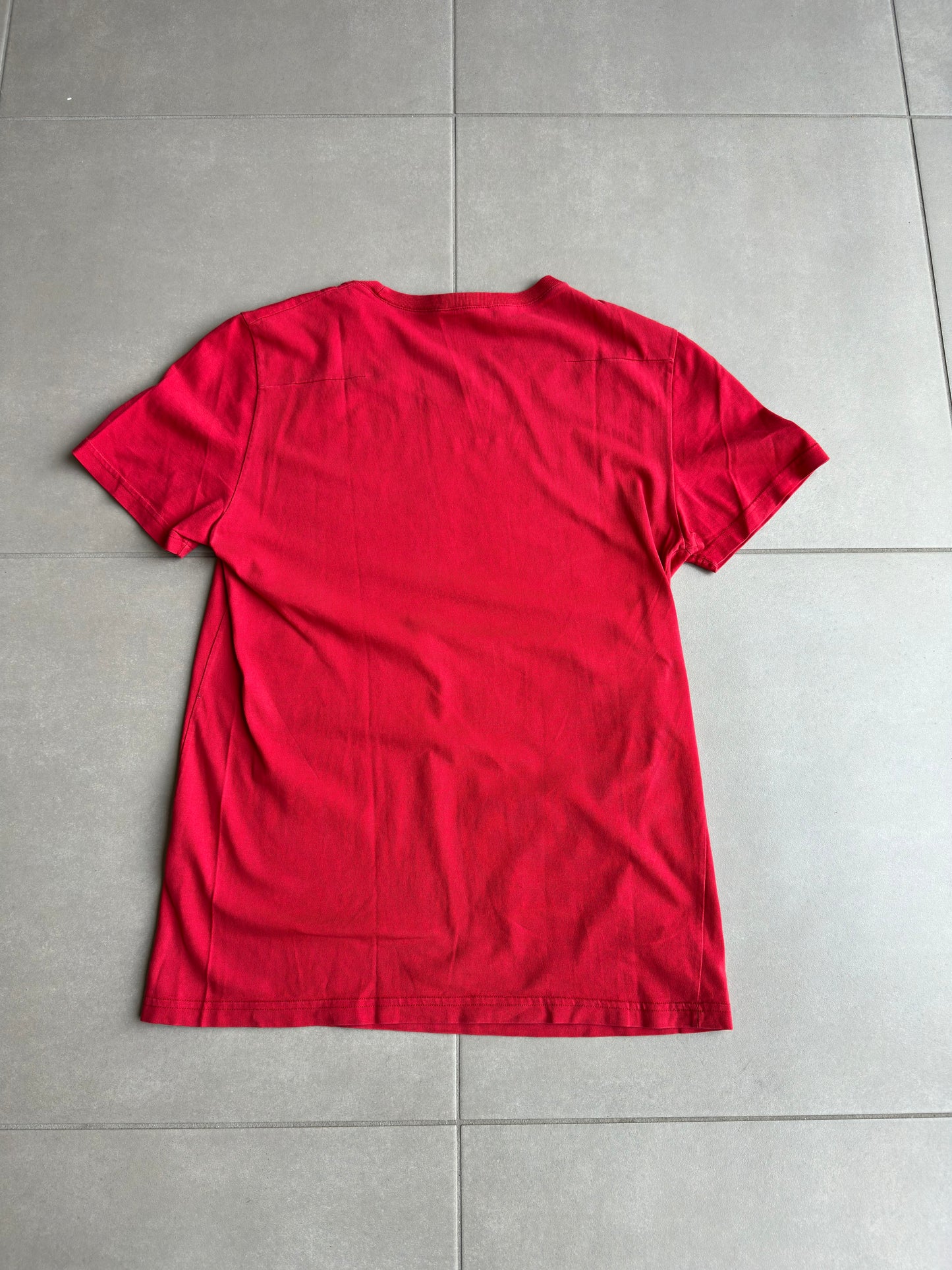 Dior Homme AW06 "These grey days" Forget Me Not T-shirt