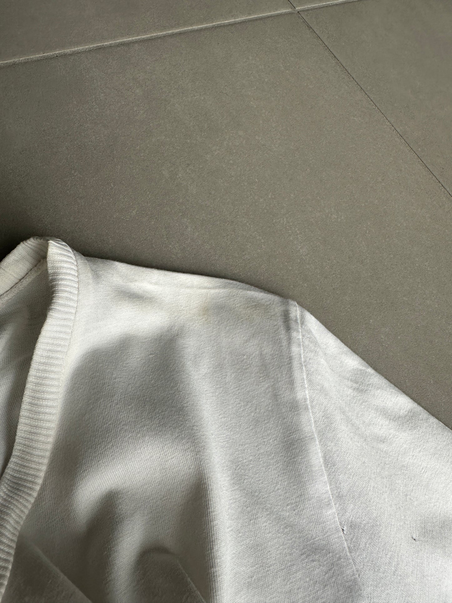 Dior Homme AW05 “In the morning” double eagle motif T-shirt