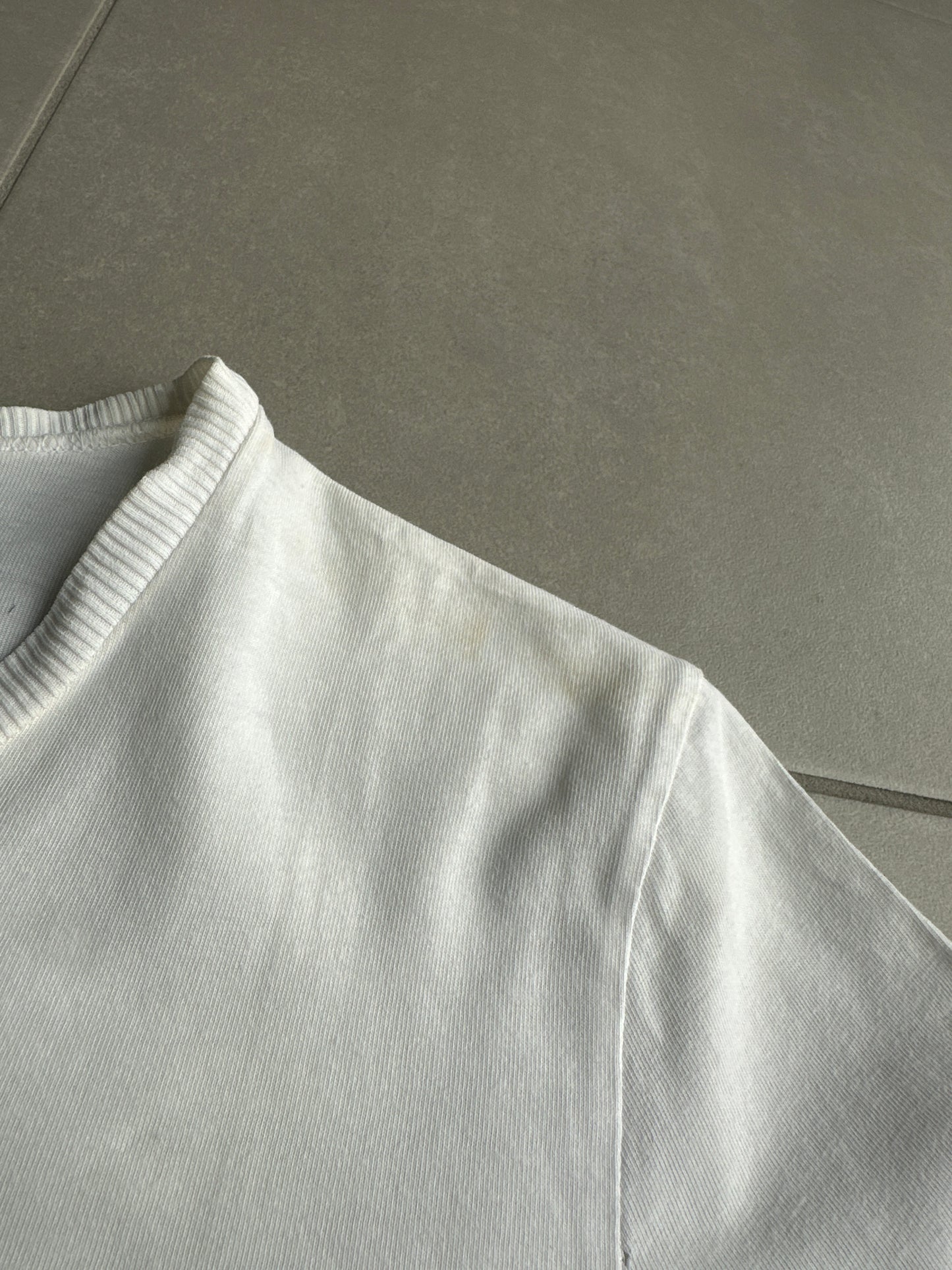 Dior Homme AW05 “In the morning” double eagle motif T-shirt