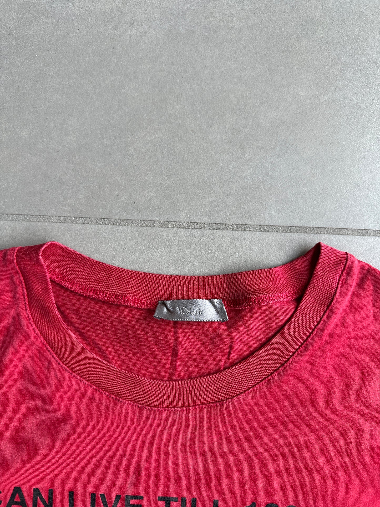 Dior Homme SS06 U CAN LIVE TILL 100 & 10 T-shirt