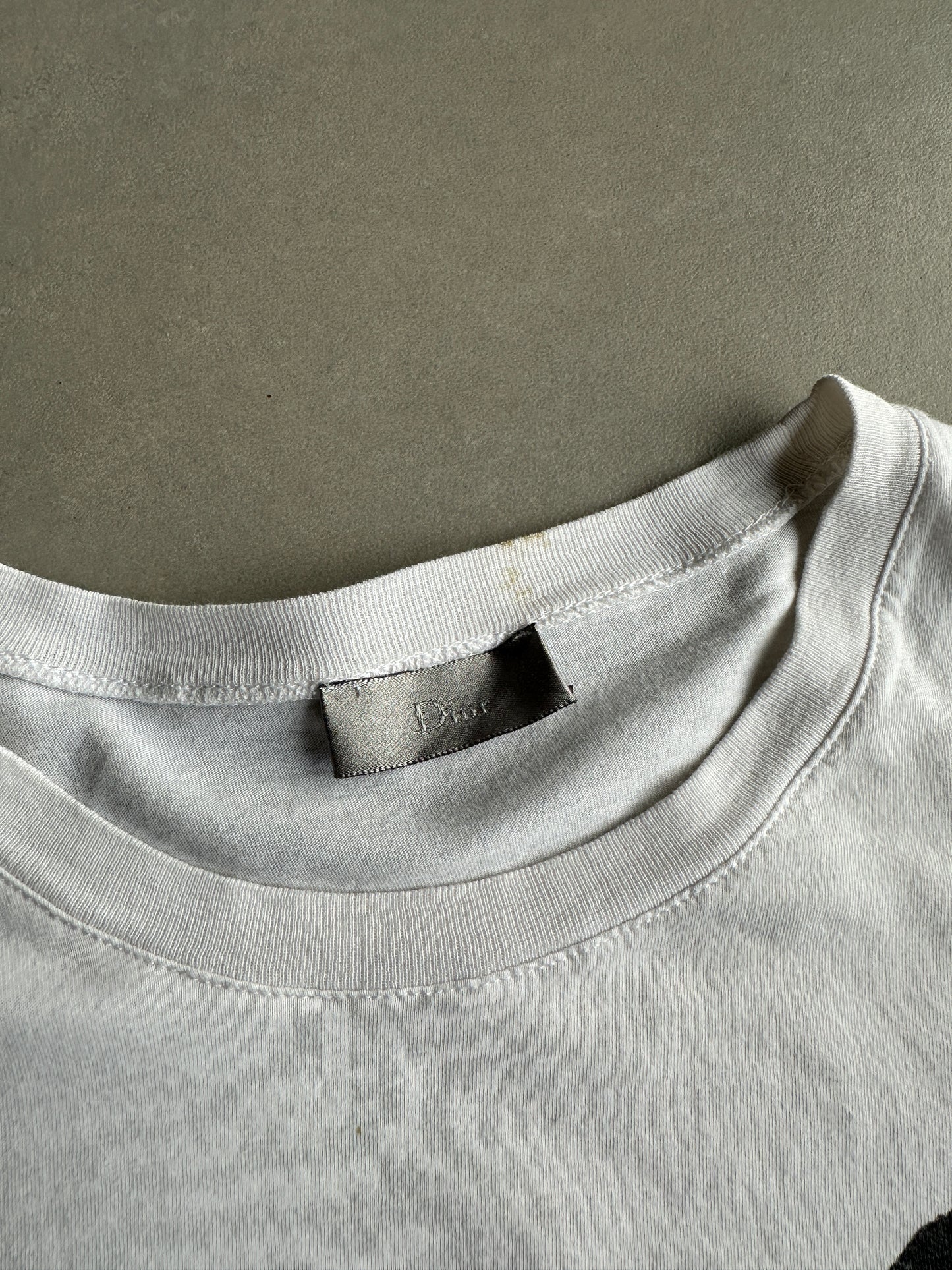 Dior Homme SS07 boy in the forest T-shirt