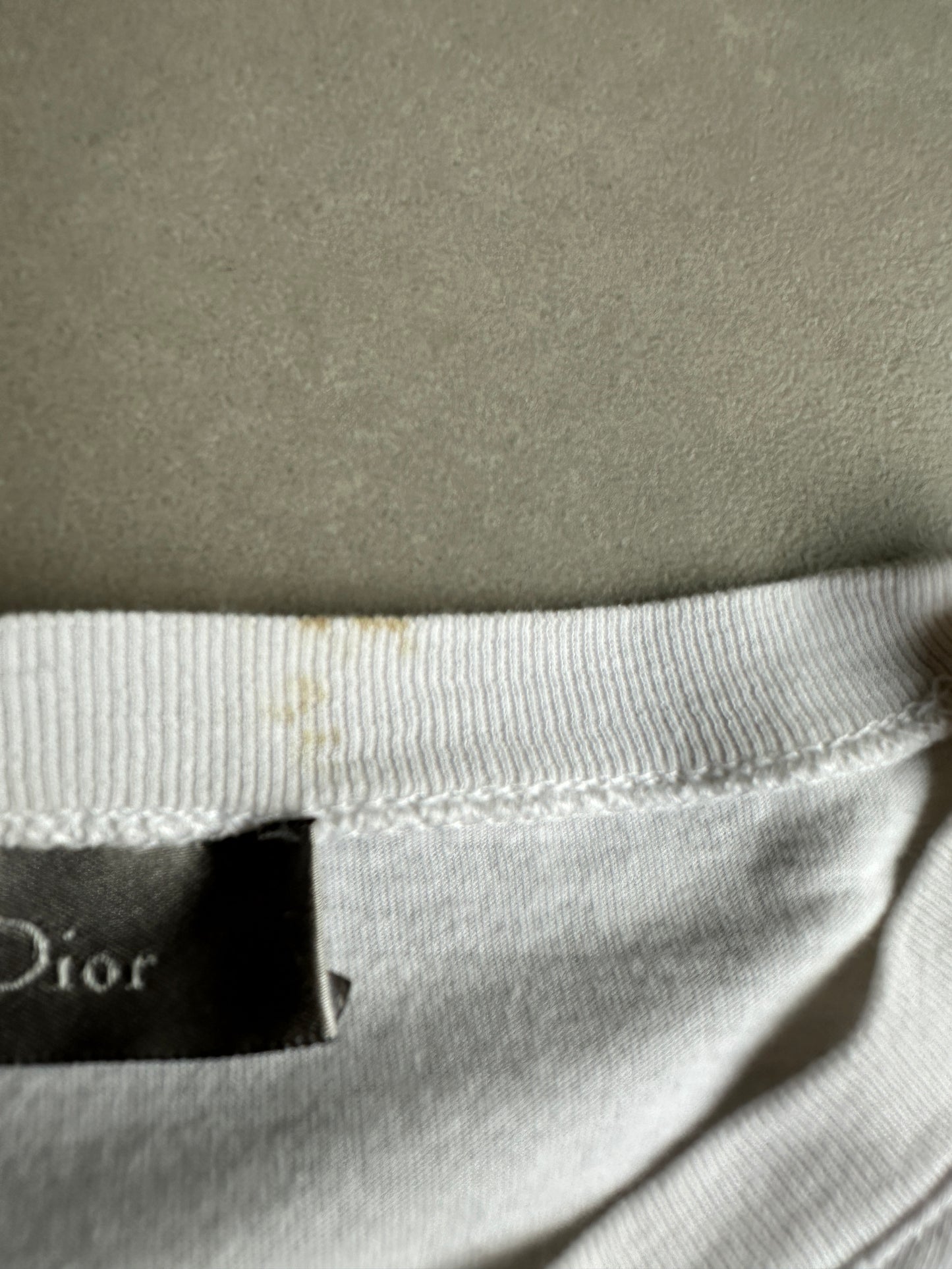 Dior Homme SS07 boy in the forest T-shirt